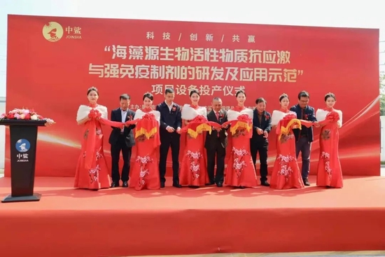 国际合作